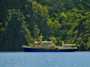 HCA DIVE CRUISE 6日|精選全球優質潛水中心